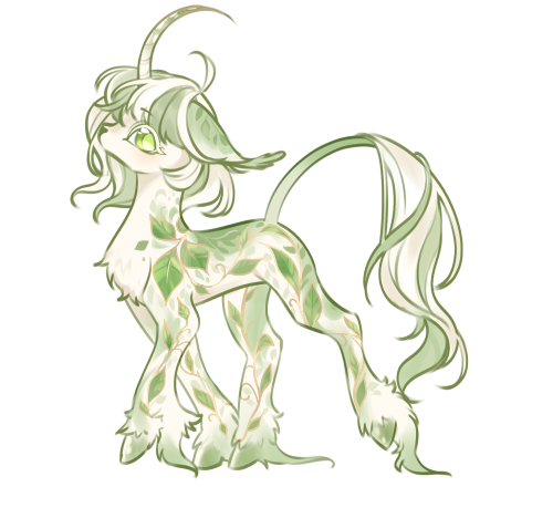 ivory sprout