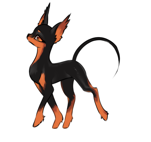 doberman