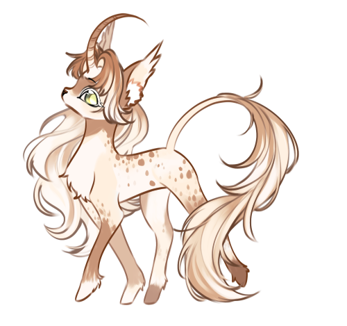 palomino