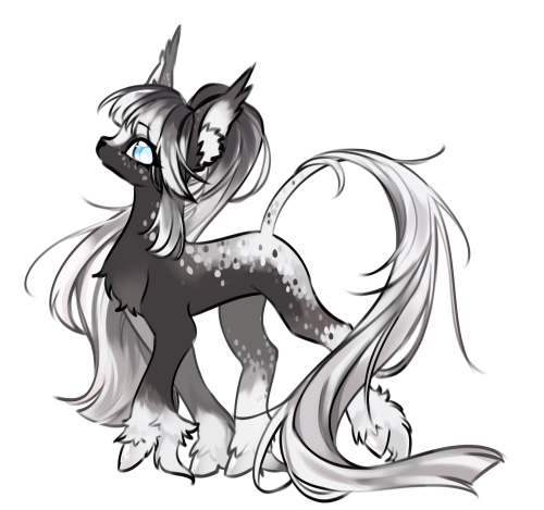 dapple grey