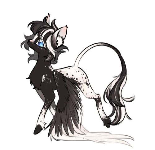 appaloosa
